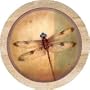 Dragonfly Parchment Sandstone Thirstystone Coasters