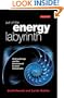 Out of the Energy Labyrinth: Uniting Energy and the Environment to Avert Catastrophe