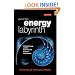Out of the Energy Labyrinth: Uniting Energy and the Environment to Avert Catastrophe