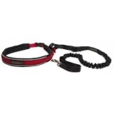 Spindrift Daisy Runner System Jogging Belt with Dog Leash