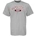 Search : Nike New Mexico State Aggies Ash Classic Arch Logo T-shirt