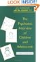 Concise Guide to the Psychiatric Interview of Children and Adolescents (Concise Guides / American Psychiatric Press)