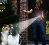 Flipo Leash Light