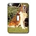 Dogs Saint Bernard - Saint Bernard - Light Switch Covers - single toggle switch