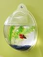 Wall Mount Fish Bowl Aquarium Tank Beta Goldfish