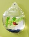 Wall Mount Fish Bowl Aquarium Tank Beta Goldfish