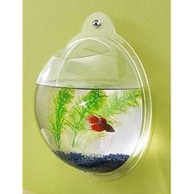 Wall Mount Fish Bowl Aquarium Tank Beta Goldfish
