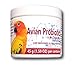 HealthyGut Avian Probiotics | 120 Servings | Dairy Free
