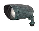 Nuvo Lighting 76/656 Antique Verdi Single Light 7 PAR20 Landscape Flood Light in Antique Verdi Fin