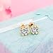 Cubic Zirconia Earrings-Women's Stainless Simulated Diamond Gift For Lovers,Wife,Girlfriend,MotherWedding