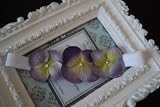 Pretty Lavender Triple Dainty Flowers with Swarovski Crystals Center on Soft Stretchy White Headband. Fits Baby up to Young Girl