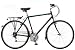 Raleigh Oakland Gents Town and Trekking Bike. 22