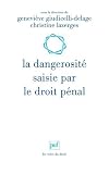 Acheter le livre La dangerosité saisie par le droit pénal