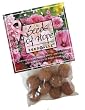 Seedballz Seeds Of Hope - Grow a beautiful pink garden of in memory of someone who battled cancer - (seed balls) flower seeds grow quickly & easily! Seed Ballz are hand rolled by people with disabilities in the USA. Best Seller - Great Gift idea!