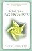 The Little Book of Big Promises