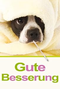 Karte Gute Besserung Hund mit Fieberthermometer, Liefermenge = 5