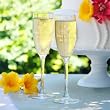 Beach Wedding Toasting Flutes