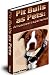 Pit Bulls As Pets: A Positive Experience - Break Through The Negative Media Stereotypes!