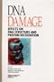 DNA Damage: Effects of DNA Structure and Protein Recognition (Annals of the New York Academy of Sciences)