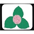 Tapis de souris d�cor� - Morning Glory
