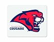 NCAA Mascot Deskpad