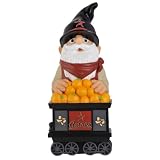 MLB Houston Astros Team Thematic Gnome