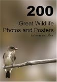 200 Great Wildlife Photos and Posters