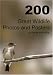 200 Great Wildlife Photos and Posters