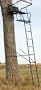 15' The Big Buddy� Ladder Stand from Big Game� Treestands