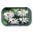 Shasta Parade - Rectangle Glass Paperweight (2-1/2" x 4" x 1")