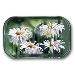 Shasta Parade - Rectangle Glass Paperweight (2-1/2" x 4" x 1")