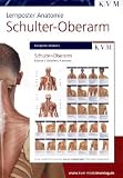 Lernposter Anatomie. Schulter - Oberarm