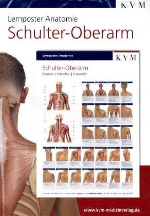 Kvm Lernposter Anatomie. Schulter - Oberarm