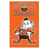 Cleveland Browns NFL Applique Banner Flag (44x28) (Elf Flag)