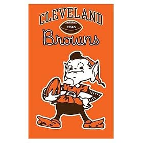 Cleveland Browns NFL Applique Banner Flag (44x28) (Elf Flag) from Banners & Flags