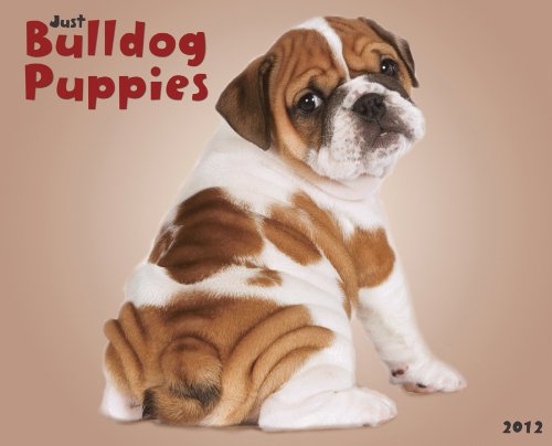 Bulldog Puppies 2012 Calendar (Willow Creek))
