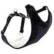 Canine Friendly Vest Harness Small, Black