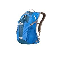 Gregory Wasath 12 Daypack, Cobalt Blue, One Size
