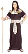 Adult Egyptian Pharaoh Costume - Adult Std.