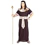 Adult Egyptian Pharaoh Costume - Adult Std.