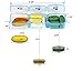 Pill Organizer, Medicine Organizer, Vitamin Organizer (Weekly - 3 Compartment) (828)