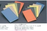 ビニール伝票ホルダー　（大）　【BH-21】 [えいむ AIM 伝票ホルダー]
