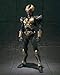 S.I.C. Ultimate Soul Masked Rider Kamen Rider Agito Grand Form [JAPAN]