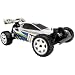 Brama 10B RTR Electric Radio Control Race Truck