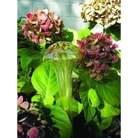 Creative Motion 11417 Mushroom Water Planter from Lava Lamps