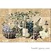 Florida Tile Pietra Art Accents Wine Basket 16 x 24 Wall Mural