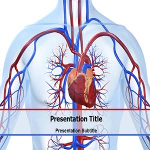 Cardiovascular System on Cardiovascular Powerpoint Template Cardiovascular Powerpoint Ppt