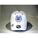 Fresno State Bulldogs Adult One-Fit Hat