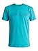 Quiksilver Men's Thin Mark T-Shirt