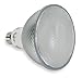 GE LIGHTING 23W, PAR38 Screw-In Fluorescent Light Bulb